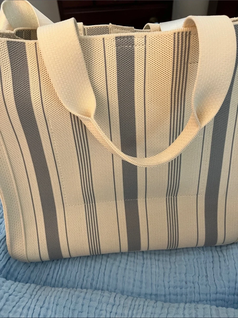 Wild Flower Cream & Gray Striped Canvas Tote with Tassel Accent